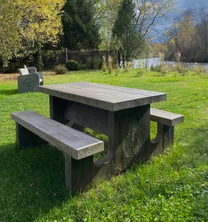 Table de pique-nique faux-bois